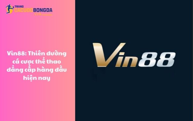 Vin88: Thiên đường cá cược thể thao đẳng cấp hàng đầu hiện nay Vin88: Thiên đường cá cược thể thao đẳng cấp hàng đầu hiện nay